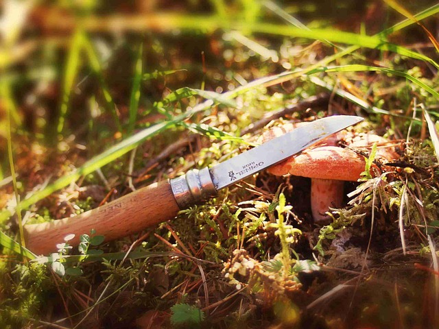 Un couteau fait partie du matériel pour la cueillette de champignons
