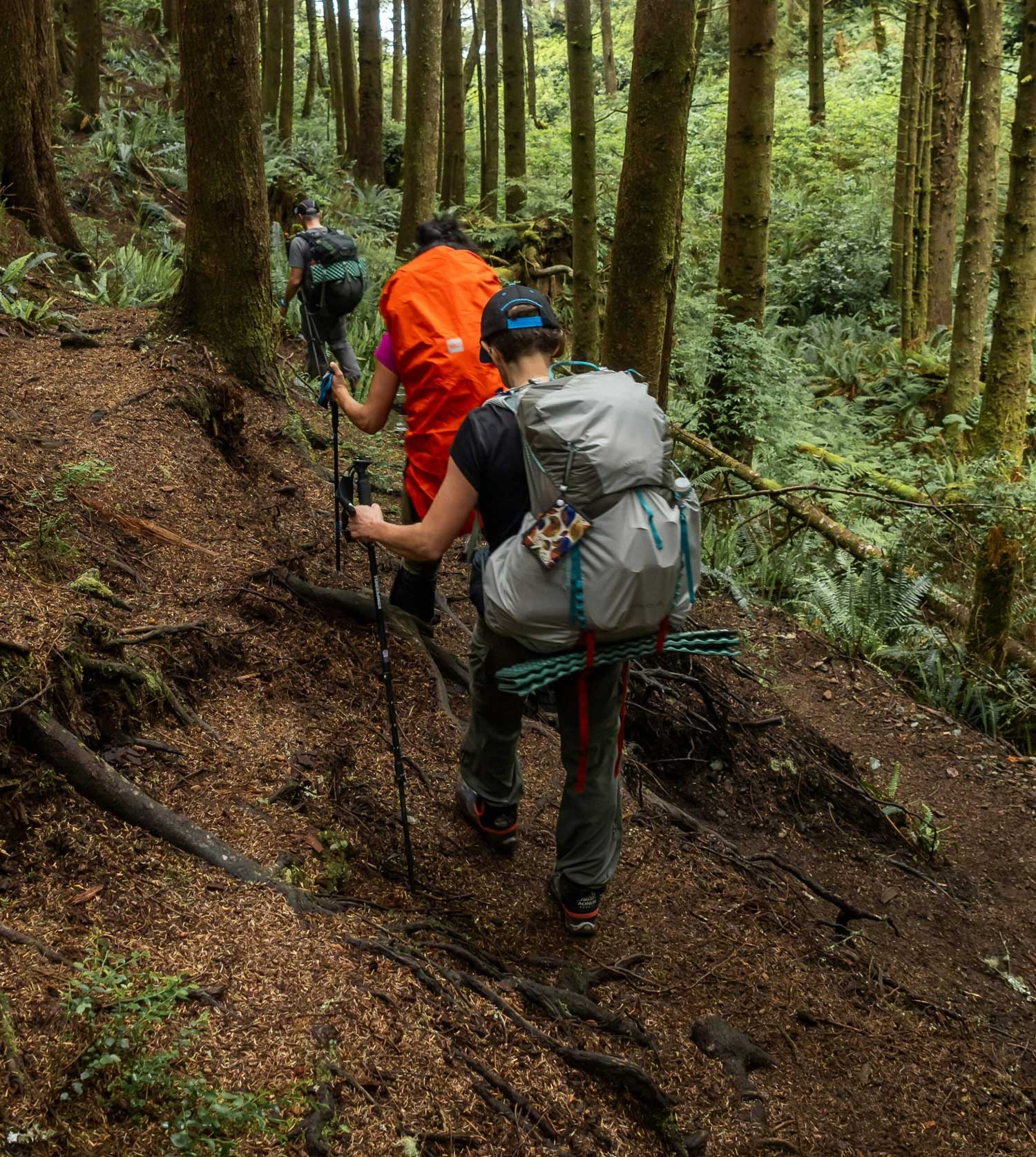 Un bâton fait partie du matériel pour la cueillette de champignons car il permet de retourner les feuilles et d'observer sans toucher